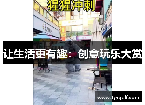 让生活更有趣：创意玩乐大赏